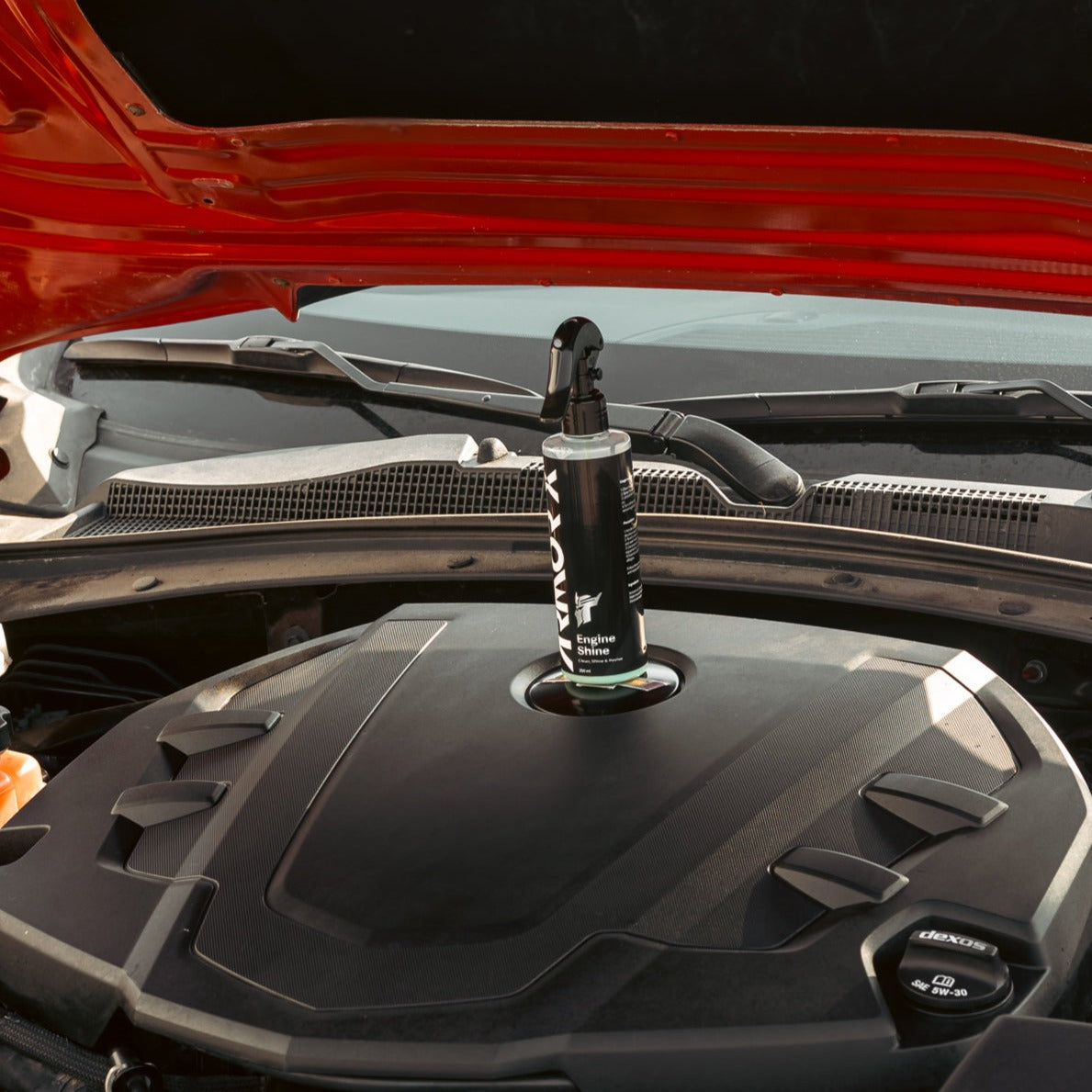 ENGINE CLEANER & SHINE